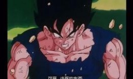 龙珠最新一番赏爆料,神秘角色登场，精彩剧情即将揭晓！