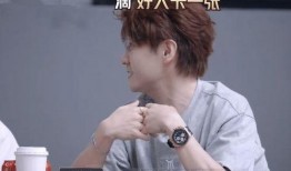 张远爆料陆虎事件视频全集,视频全集深度解析