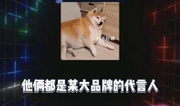 吃瓜娱乐爆料最新,神秘事件背后真相大揭秘！