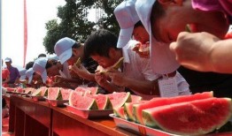 瓜州免费吃瓜,畅享甜蜜瓜果盛宴